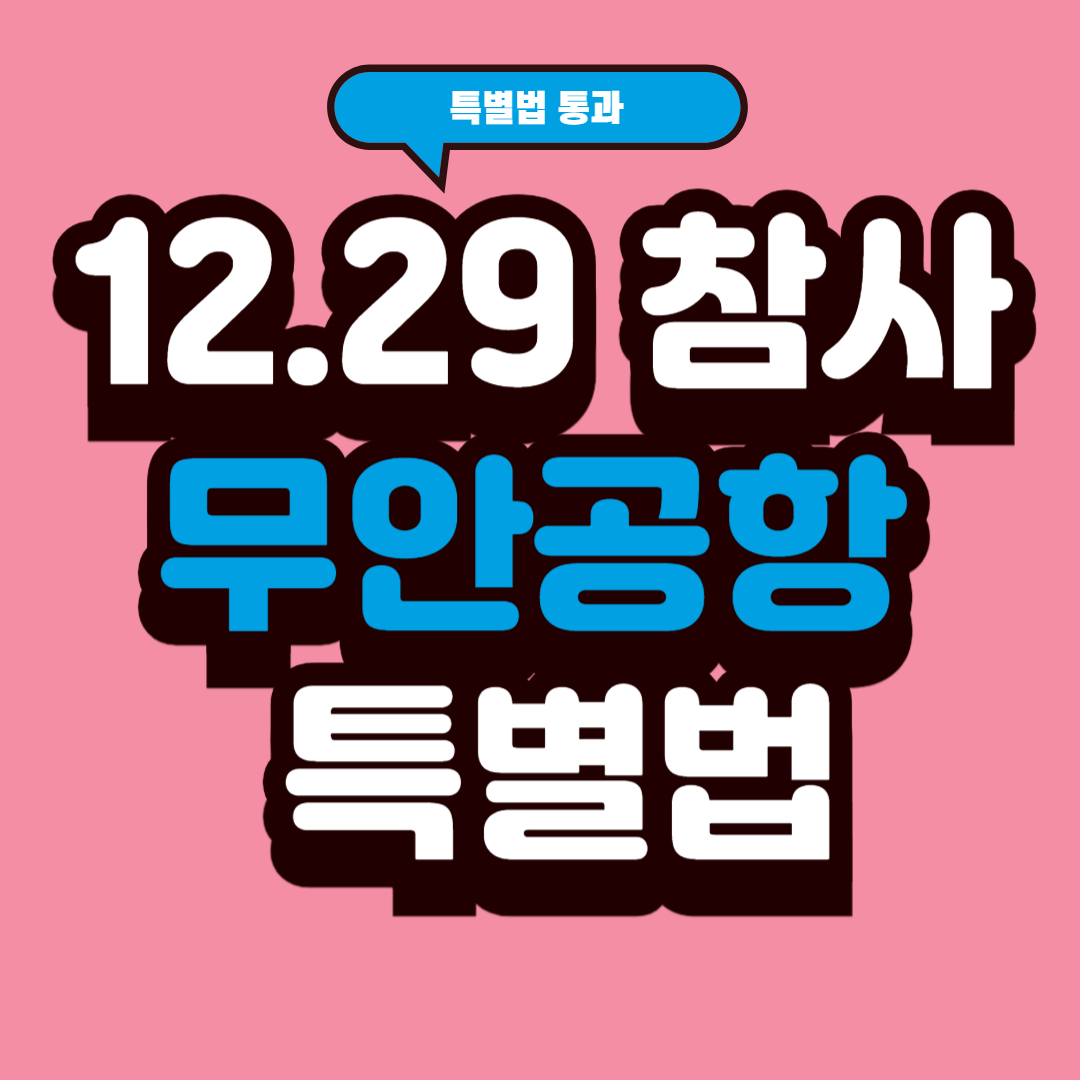 12.29 참사 무안공항 특별법 통과