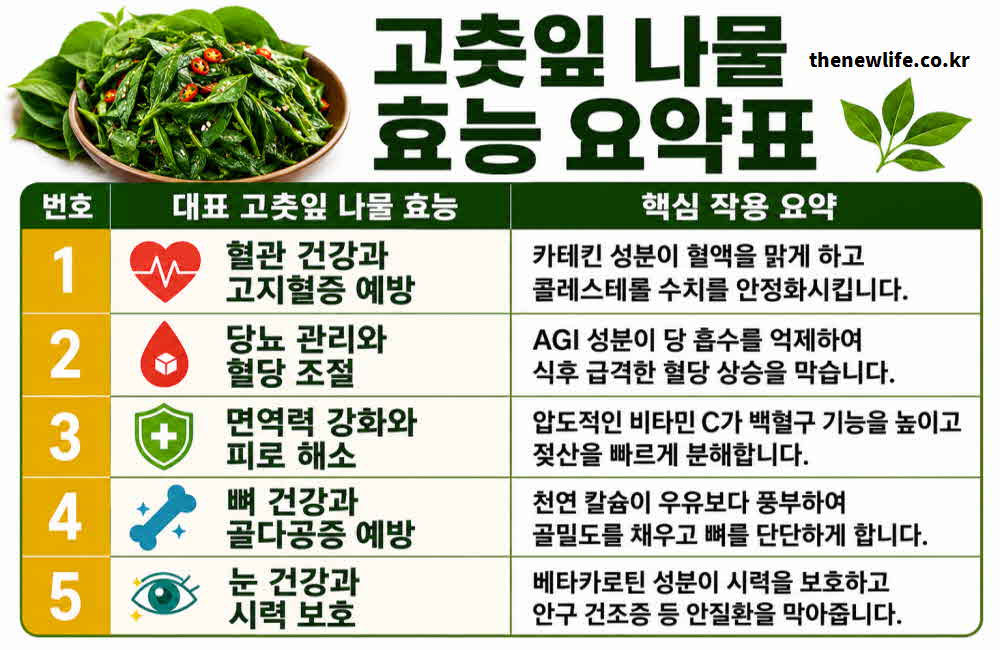 고춧잎 나물 효능 요약표