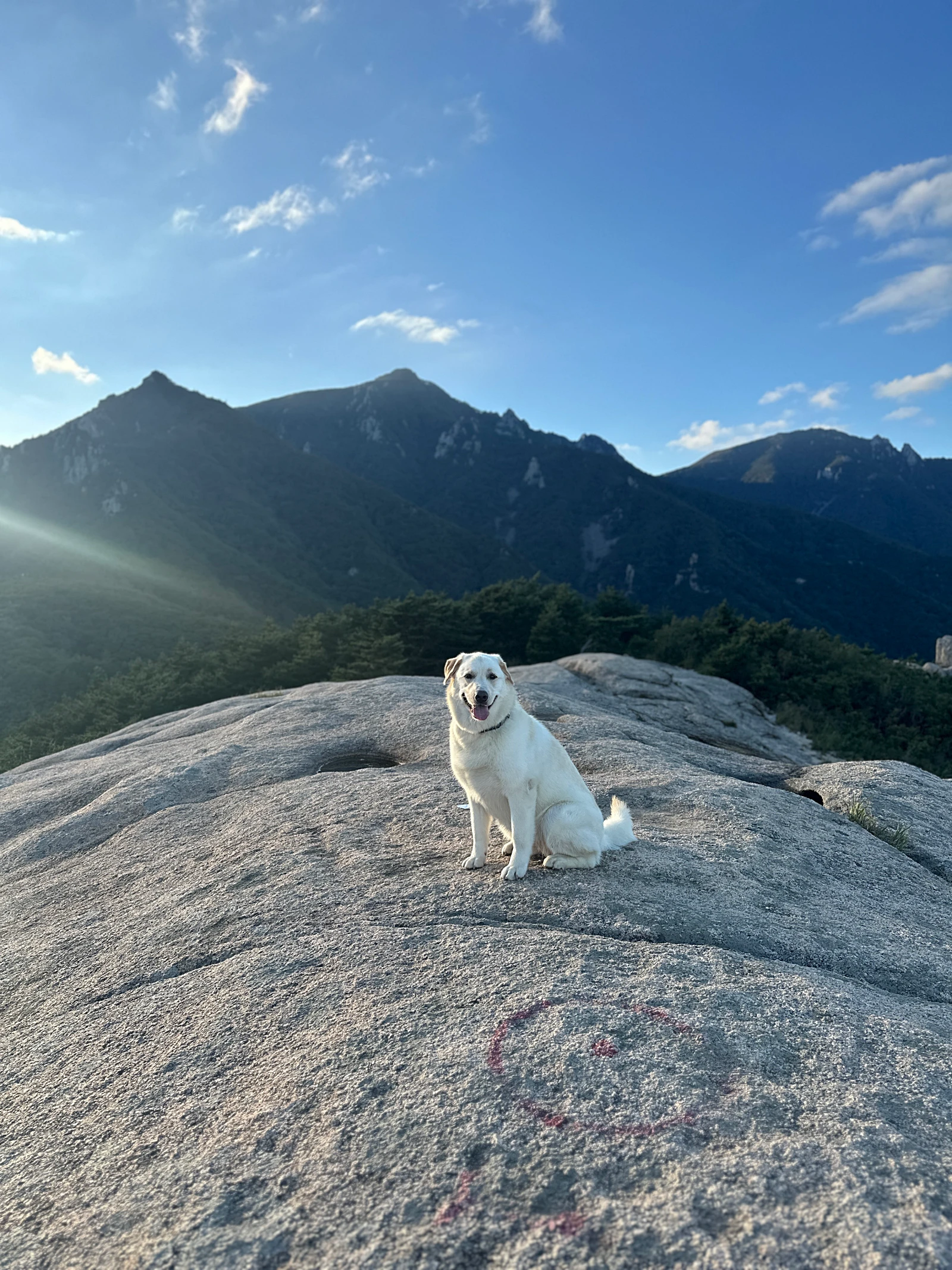 금강산 신선대
