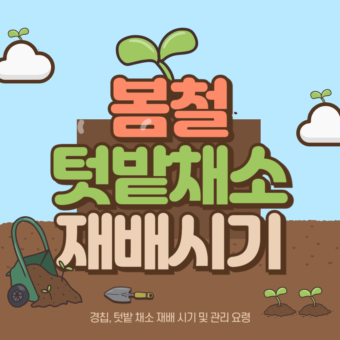 경칩, 텃밭 채소 키우기 재배 시기 및 관리 요령