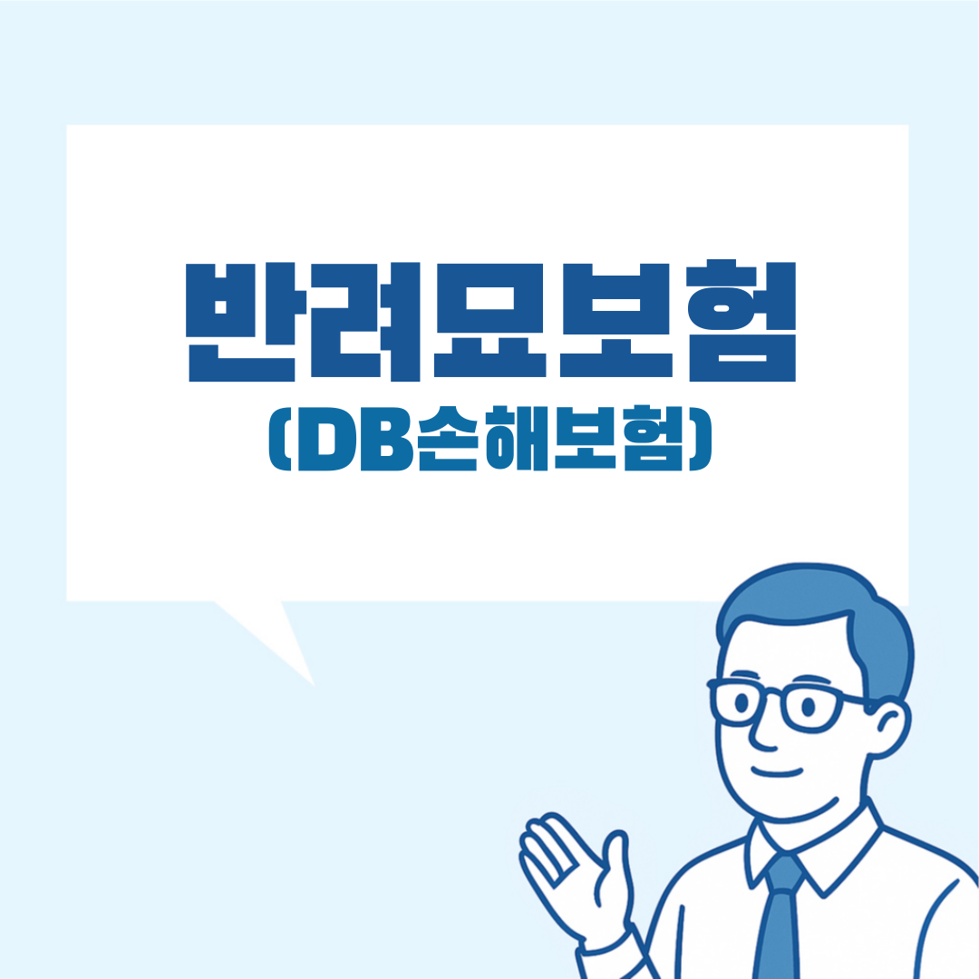 DB팻보험 고양이 설명 그림