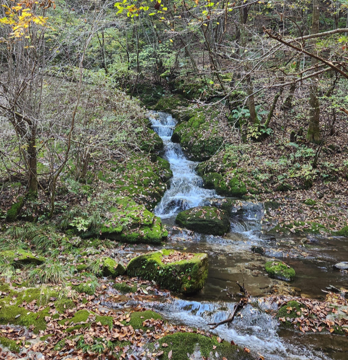 검룡소. 샛물이 끊임 없이 샘솟는다.