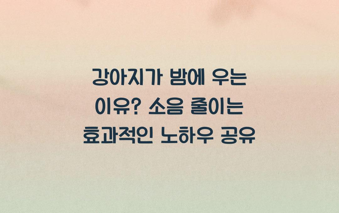 강아지가 밤에 우는 이유? 소음 줄이는 꿀팁 정리
