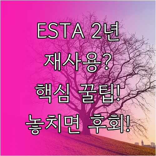 ESTA 2년 유효기간 재사용 조건 ..