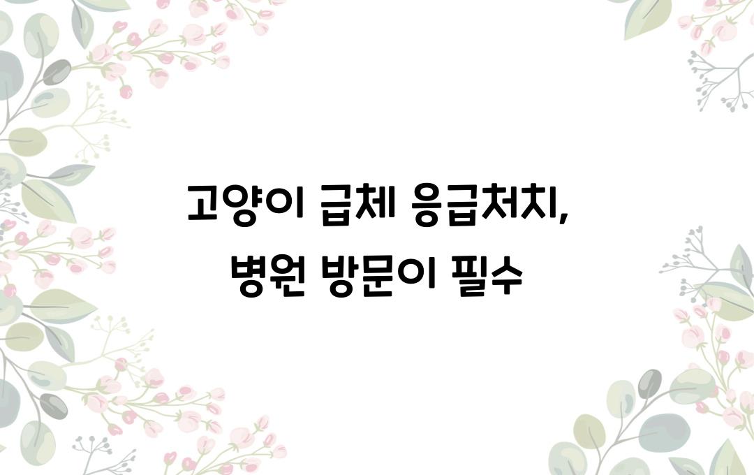 고양이 급체 응급처치, 이럴 땐 병원으로!