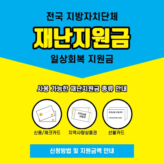 지자체-재난지원금