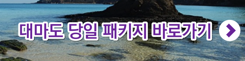 일본 대마도 패키지 당일 여행 특가 이벤트!