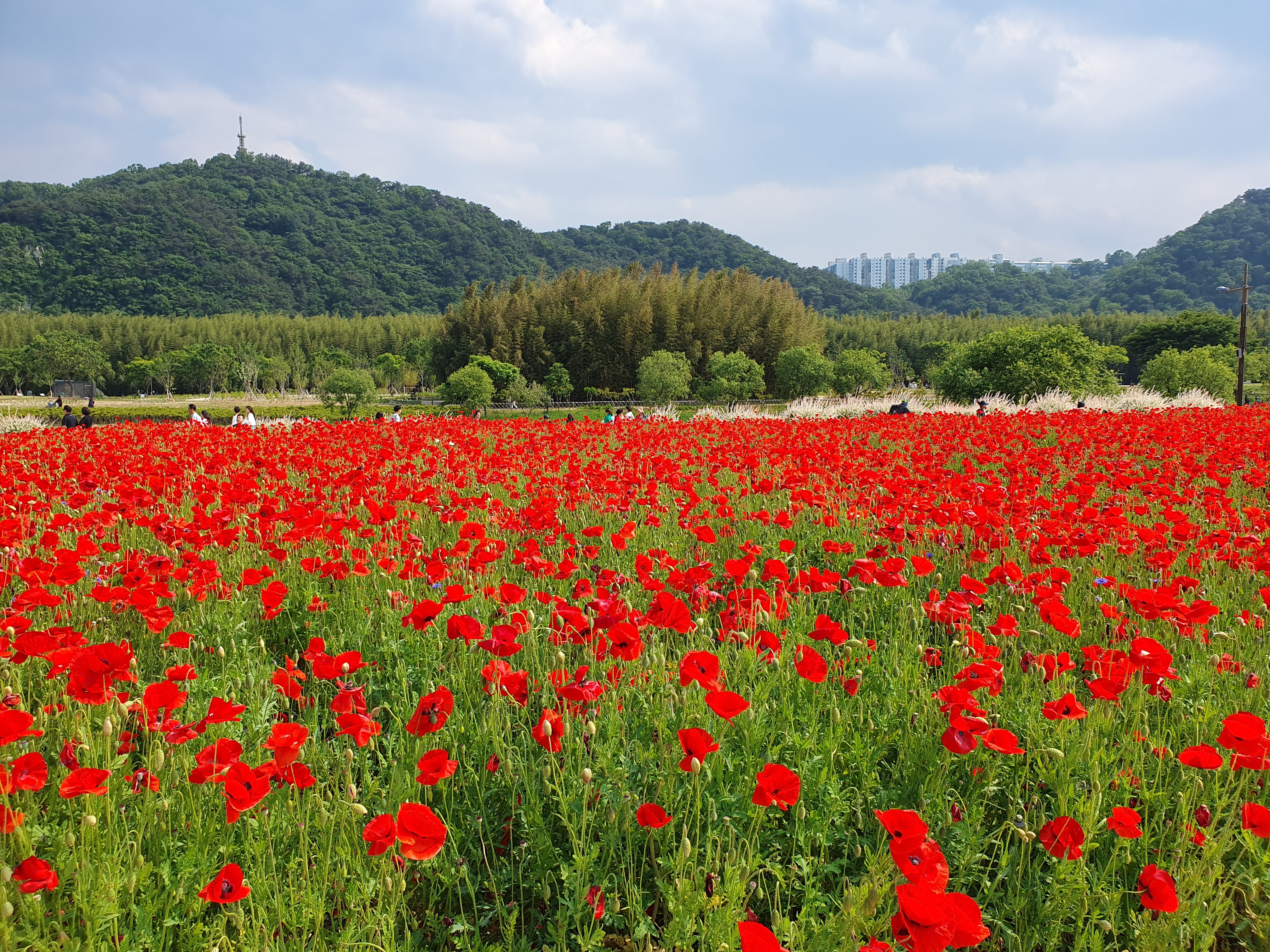 태화강 국가정원 소개