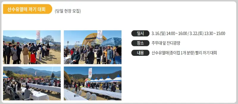 구례 산수유축제_19