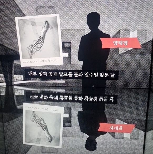 양태평박사