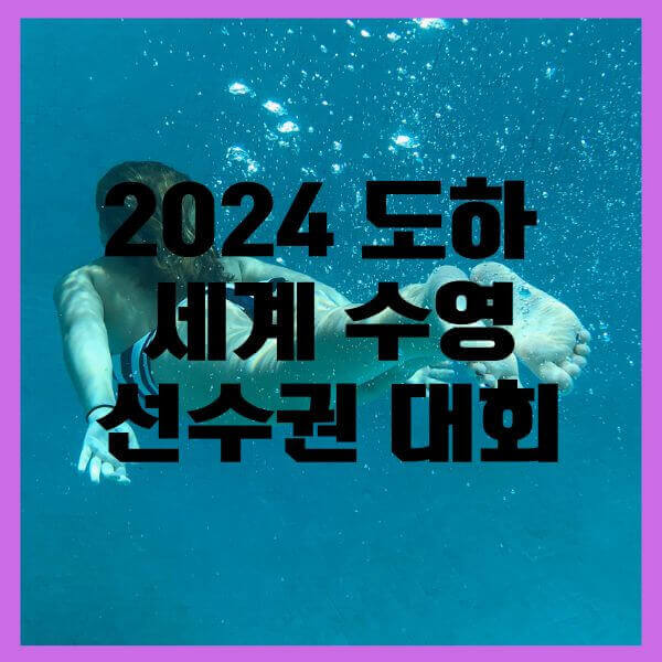 수영선수권결승일정