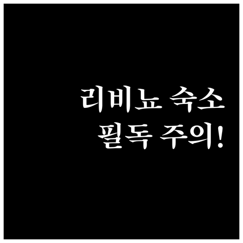 올림픽 기간 리비뇨 숙소 예약 시 주..