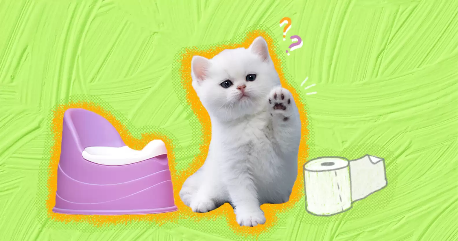 고양이 배변 훈련 이미지