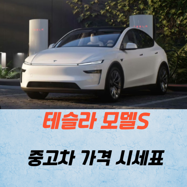 테슬라 모델S 중고차 가격 시세표 유지비