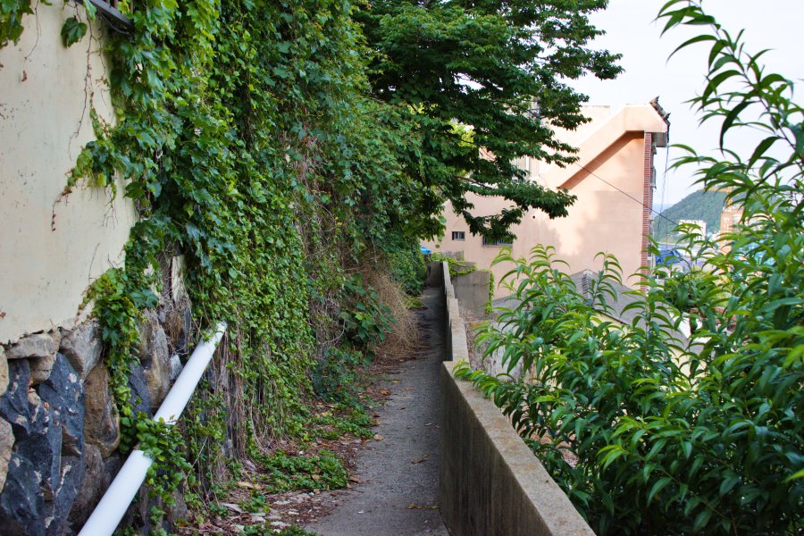 동삼1구역 재개발 지역