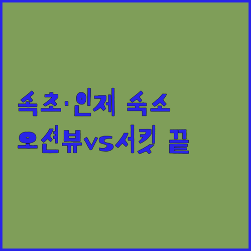 속초 인제 호텔 리조트 베스트 5곳 ..