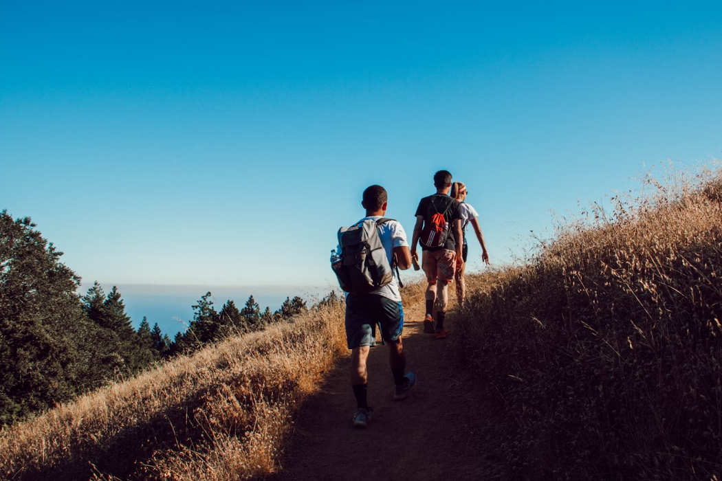 걷기 운동의 칼로리 소모, 효과, 올바르게 걷는 방법