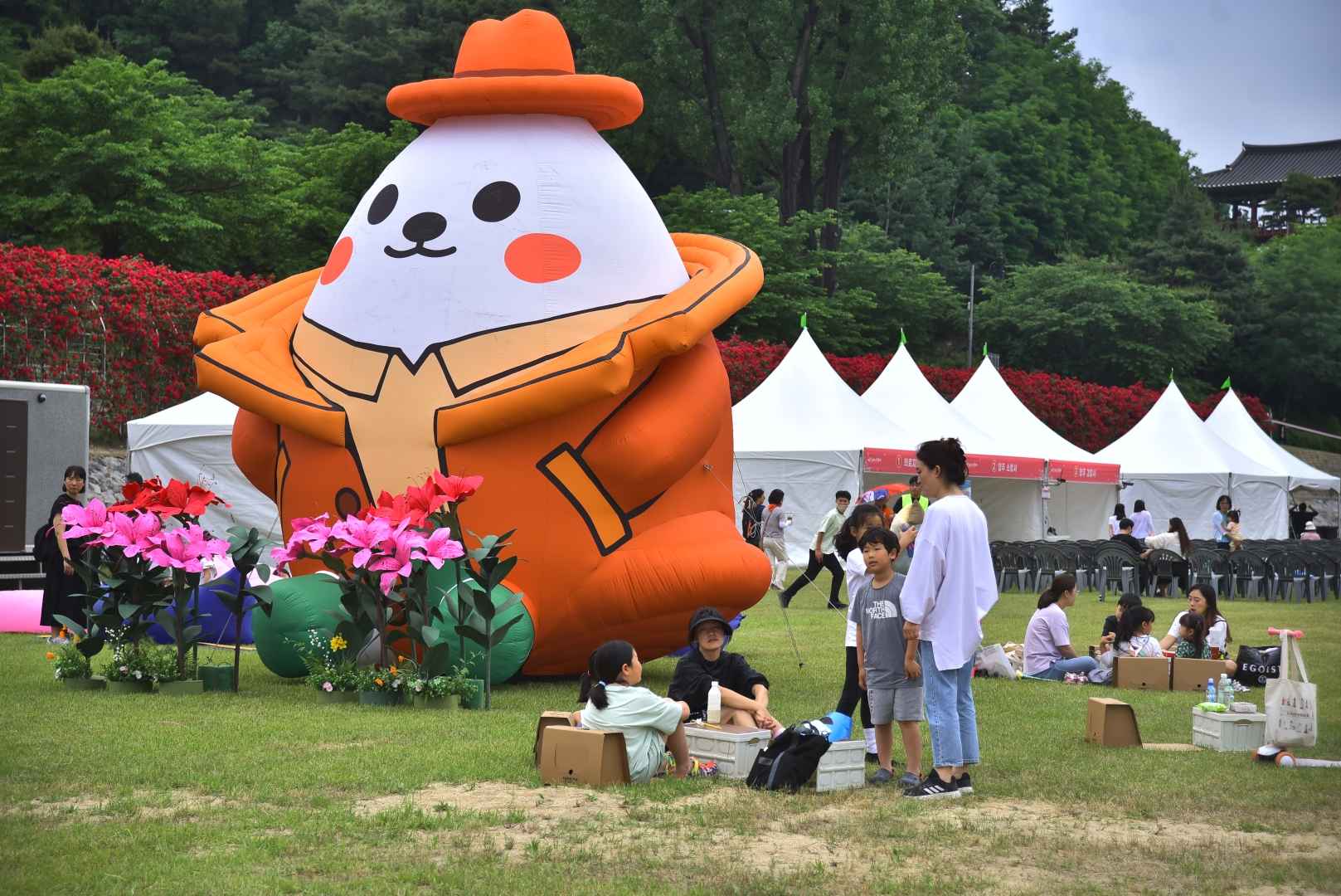 영주 소백산철쭉제 기본정보
