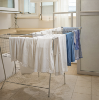 4편. 집 냄새 관리에 실패하는 사람들이 공통으로 하는 실수