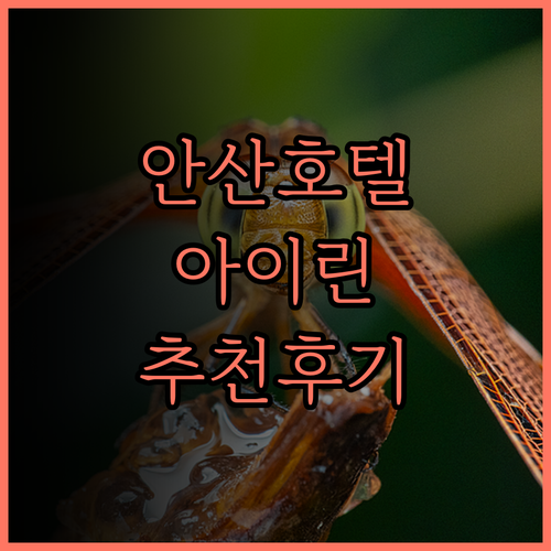 안산 호텔 아이린의 매력적인 서비스와