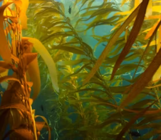 혈당 스파이크 증상 예방법 뜻