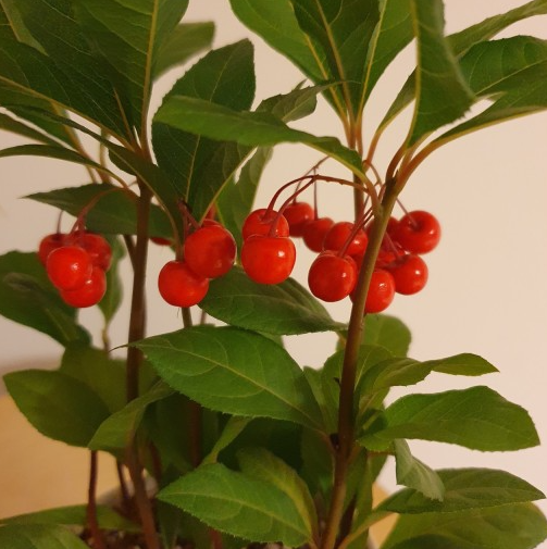 드라마 사랑의 이해 소설과 다른 점