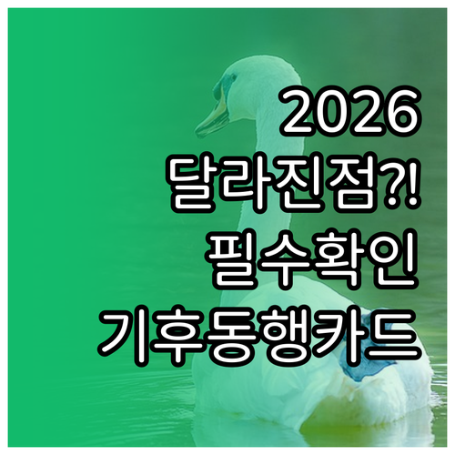 2026년 기후동행카드 달라진 점 및..