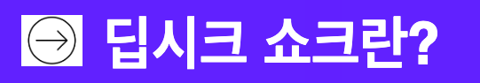 딥시크쇼크란? 어떤회사? 창업자는 누구?