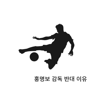 홍명보감독반대이유