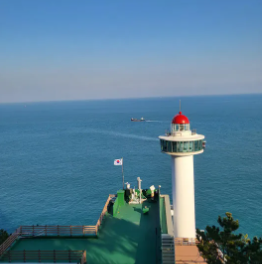 부산 태종대 수국축제