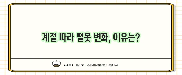 고양이 털갈이 시기는 언제일까요?