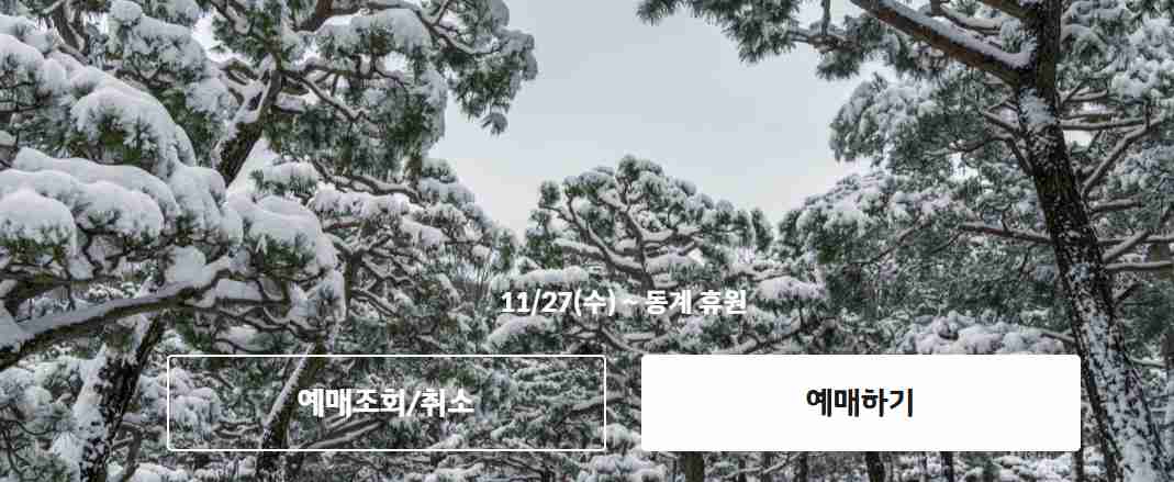 화담숲 모노레일 예약 3분 완벽 가이드