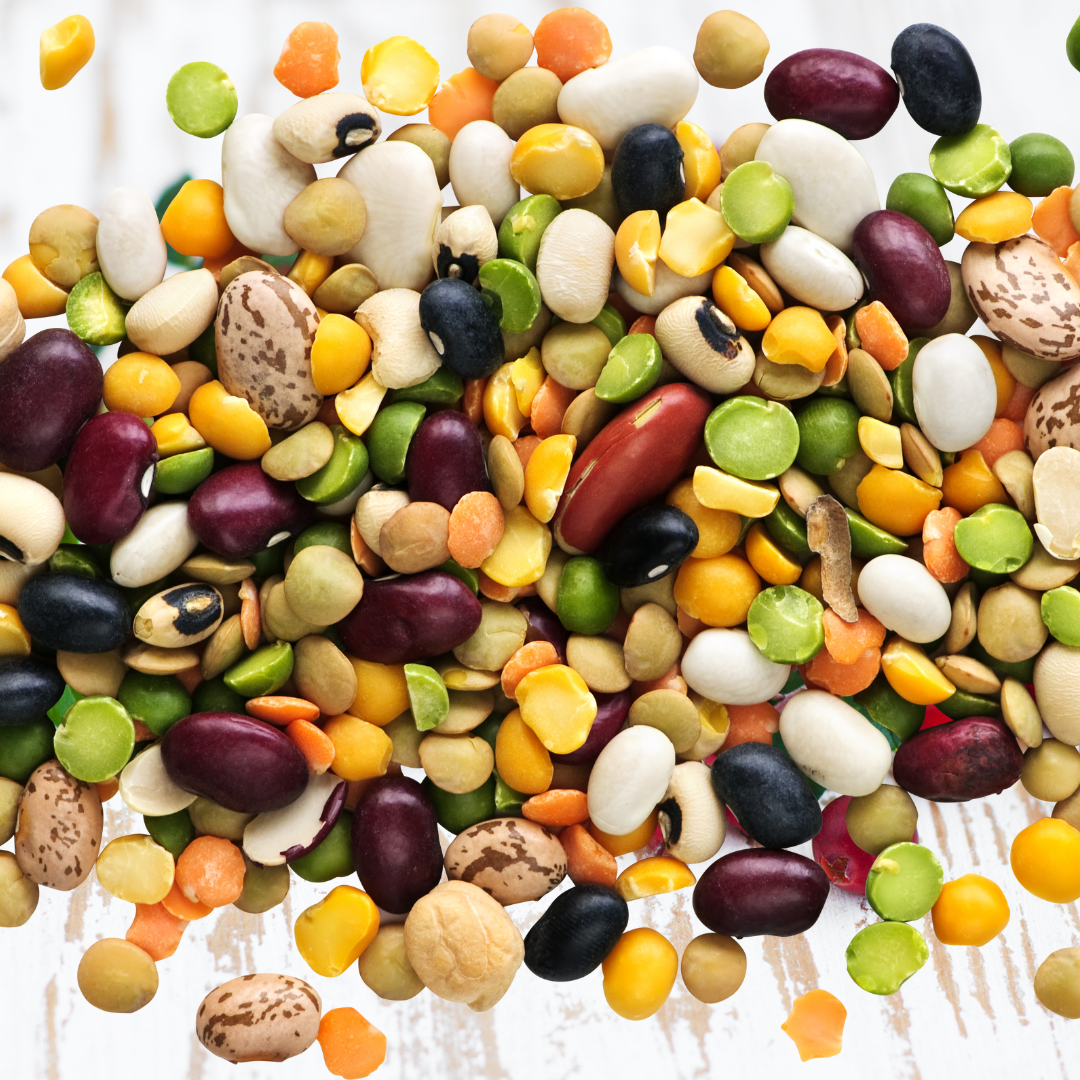 콩의 효능과 콩의 종류