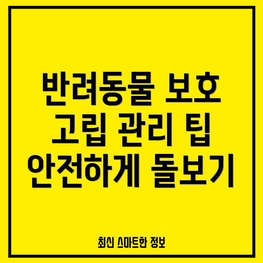 반려동물 고립