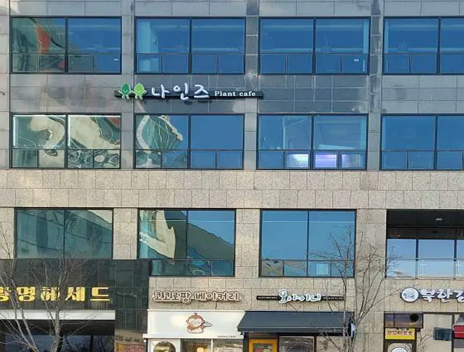 나인즈