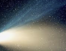 ENFP 유형 특징 분석