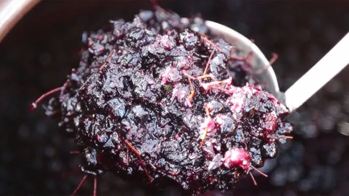 아로니아 효소만드는법과 효능효과 부작용 꽃 엑기스 활용법_1