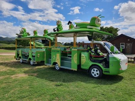 경주비단벌레,첨성대비단벌레 예약, 경주비단벌레예약사이트, 비단벌레코스