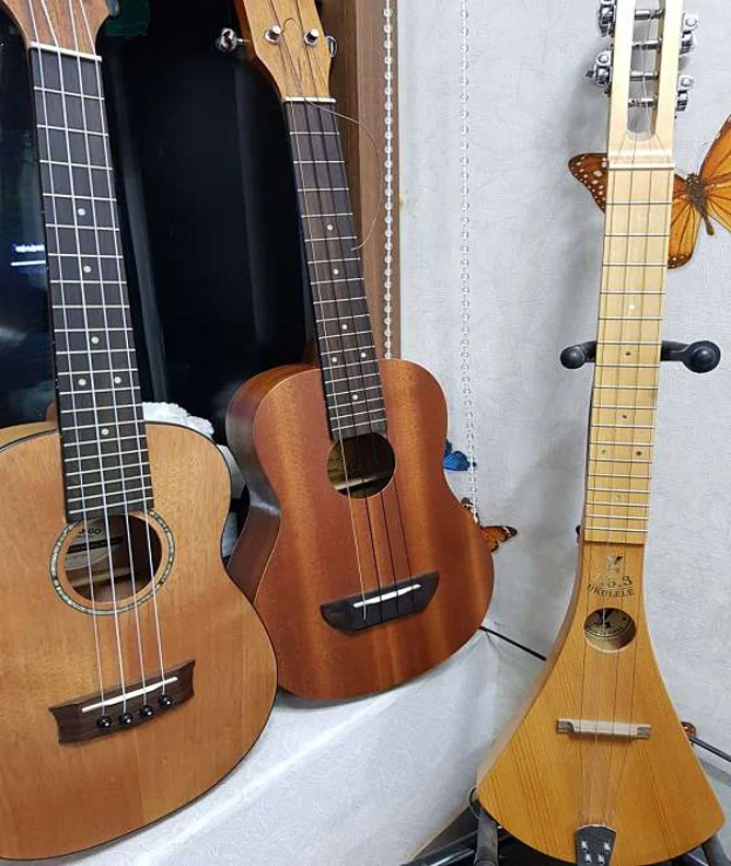 직장인음악학원