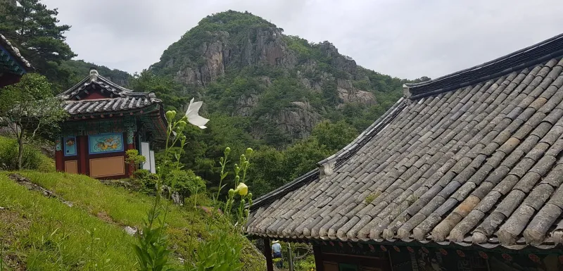 청도 복호산 운문사