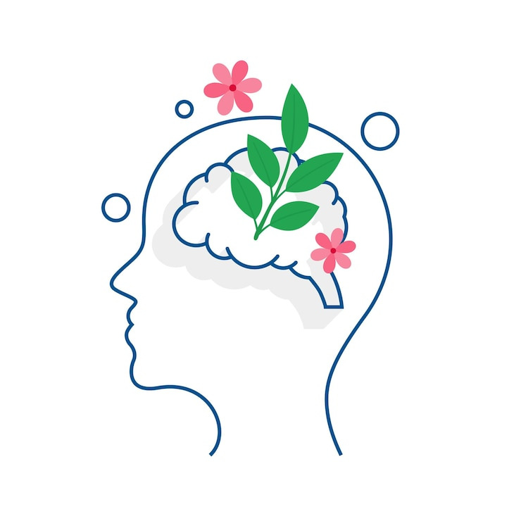 글림프계(Glymphatic System)의 과학