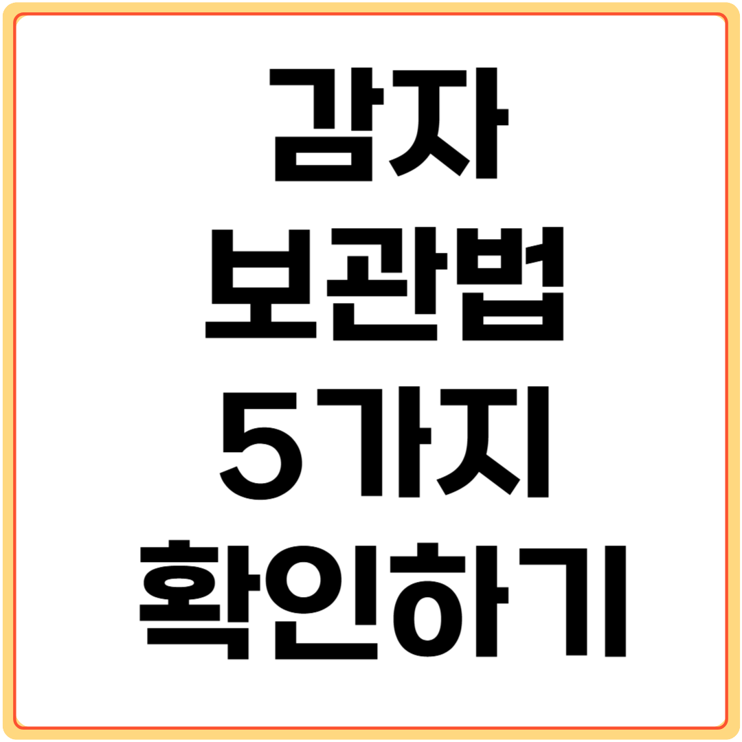 감자-보관법-5가지-확인하기
