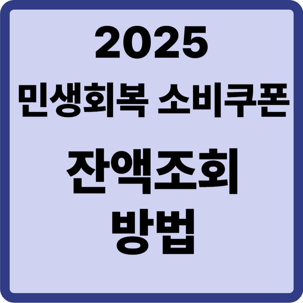 민생회복 소비쿠폰 잔액조회