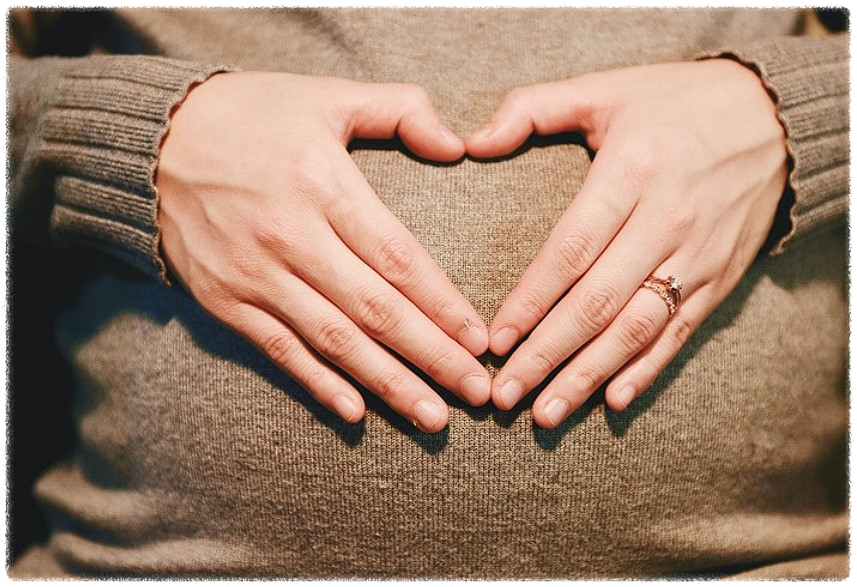 자매임신하는꿈