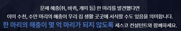 아파트 바퀴벌레 퇴치방법