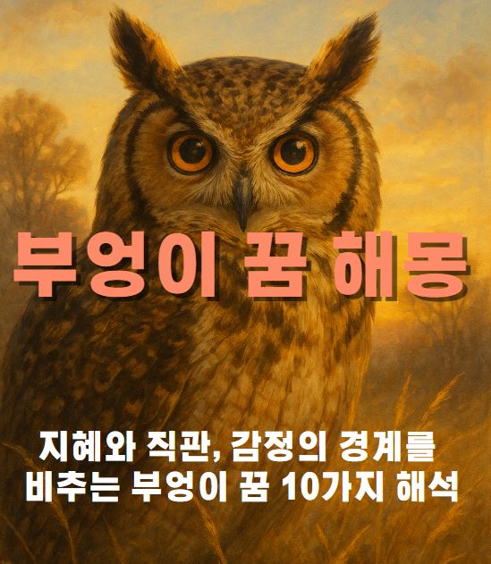 부엉이 그림