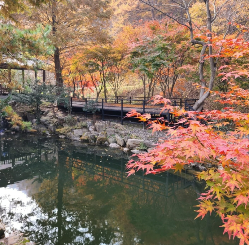 캠핑장