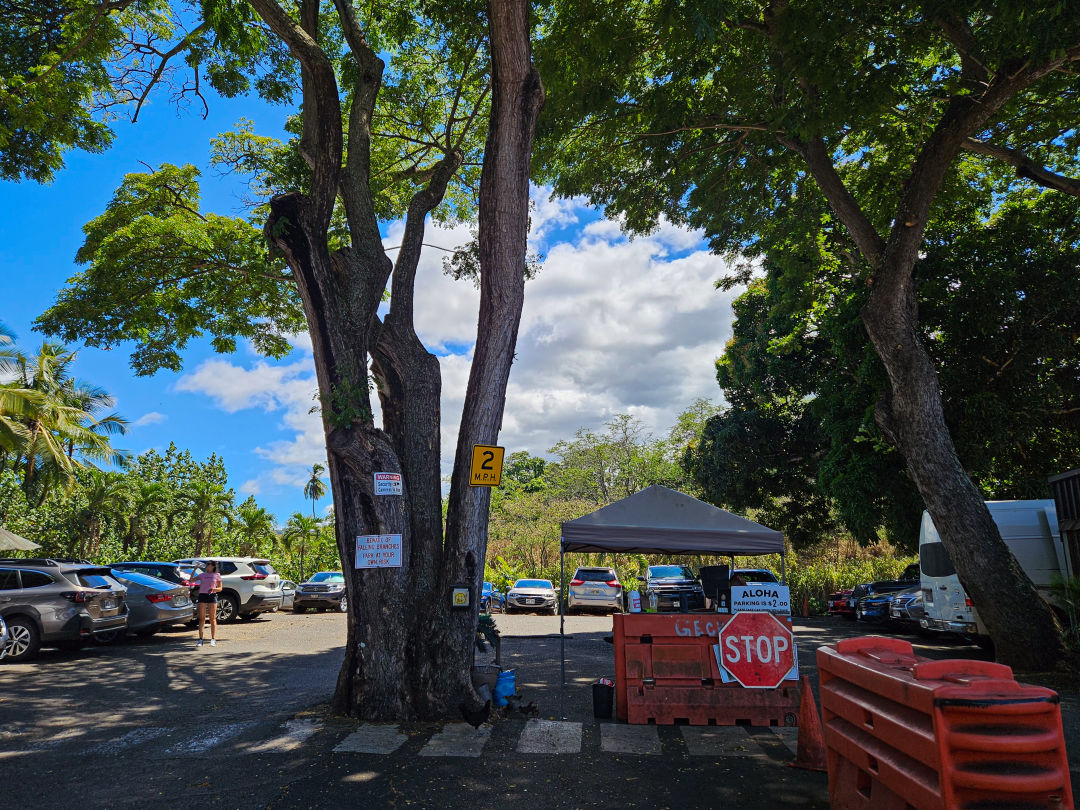 지오반니 새우트럭 주차장