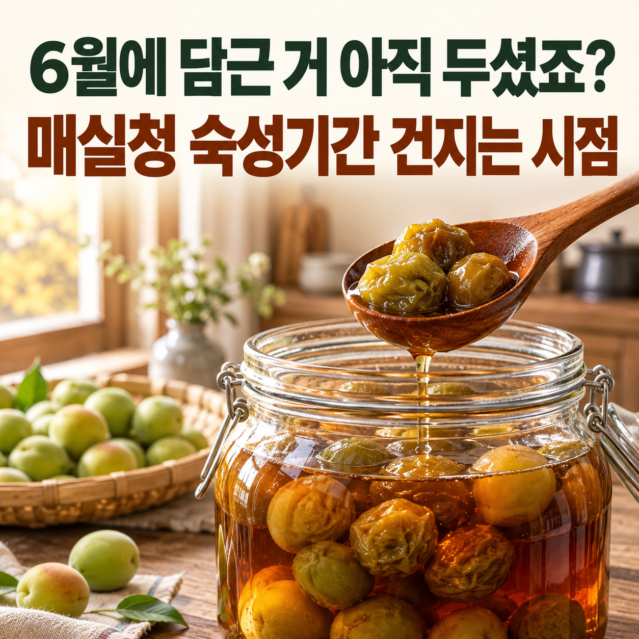"6월에 담근 거 아직 두셨죠?" 매실청 숙성기간 건지는 시점