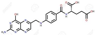 엽산 결핍의 위험성